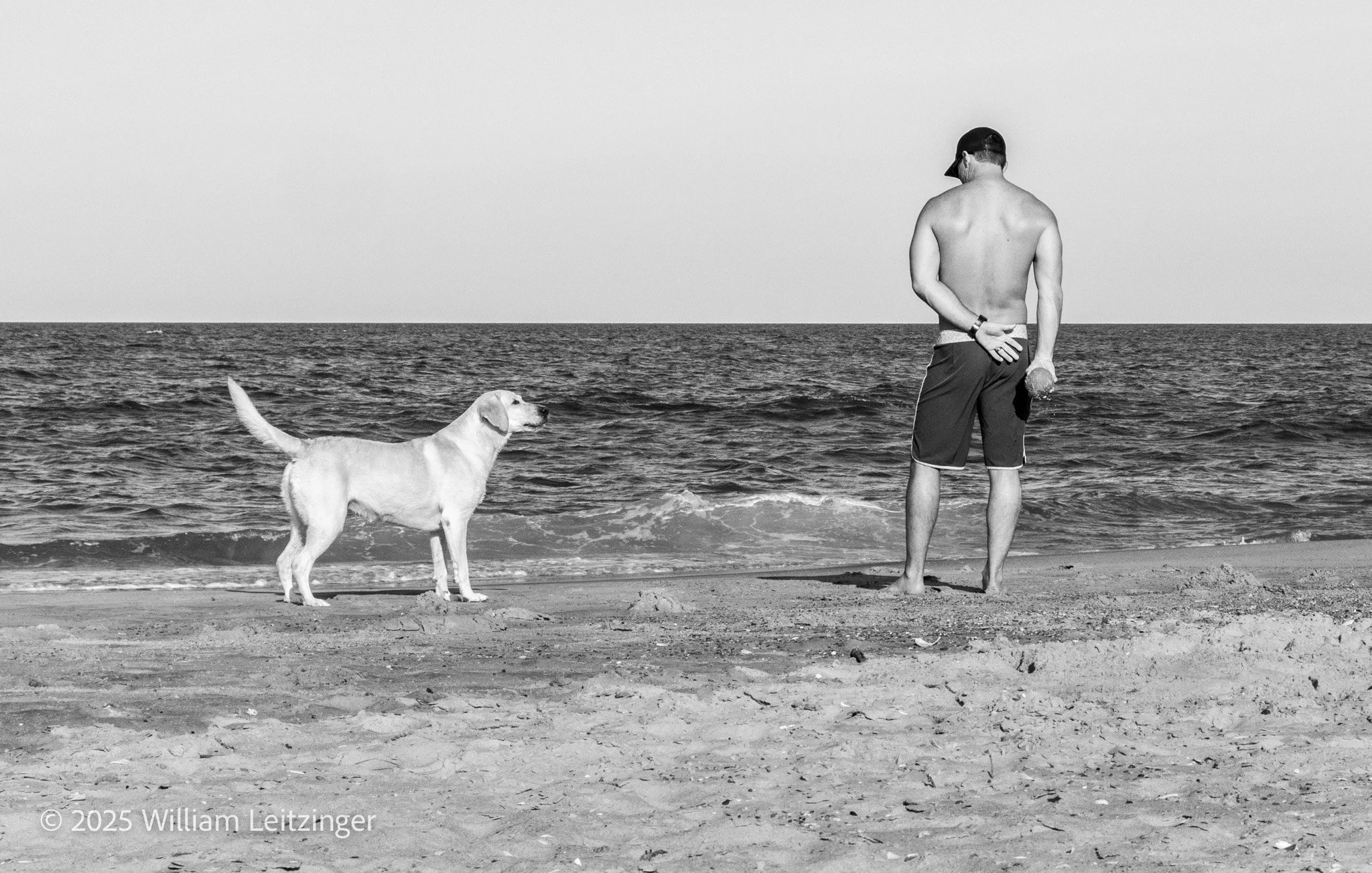 20180823-Dog-DE-Bethany_Beach-Dog_Waiting_for_Man_to_Throw_the_Ball-01-B&W-(Copyright.jpg