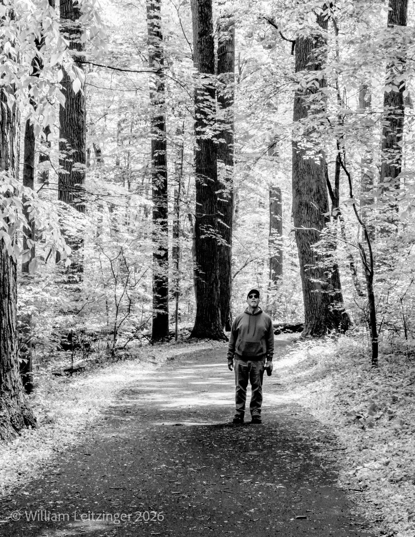 20230505-Nature-State_Park-DE-Wilmington-Larry_Massaro_Looking_Up_at_Trees-IMG_8170-B&W-Cropped_8x11-(Copyright).jpg