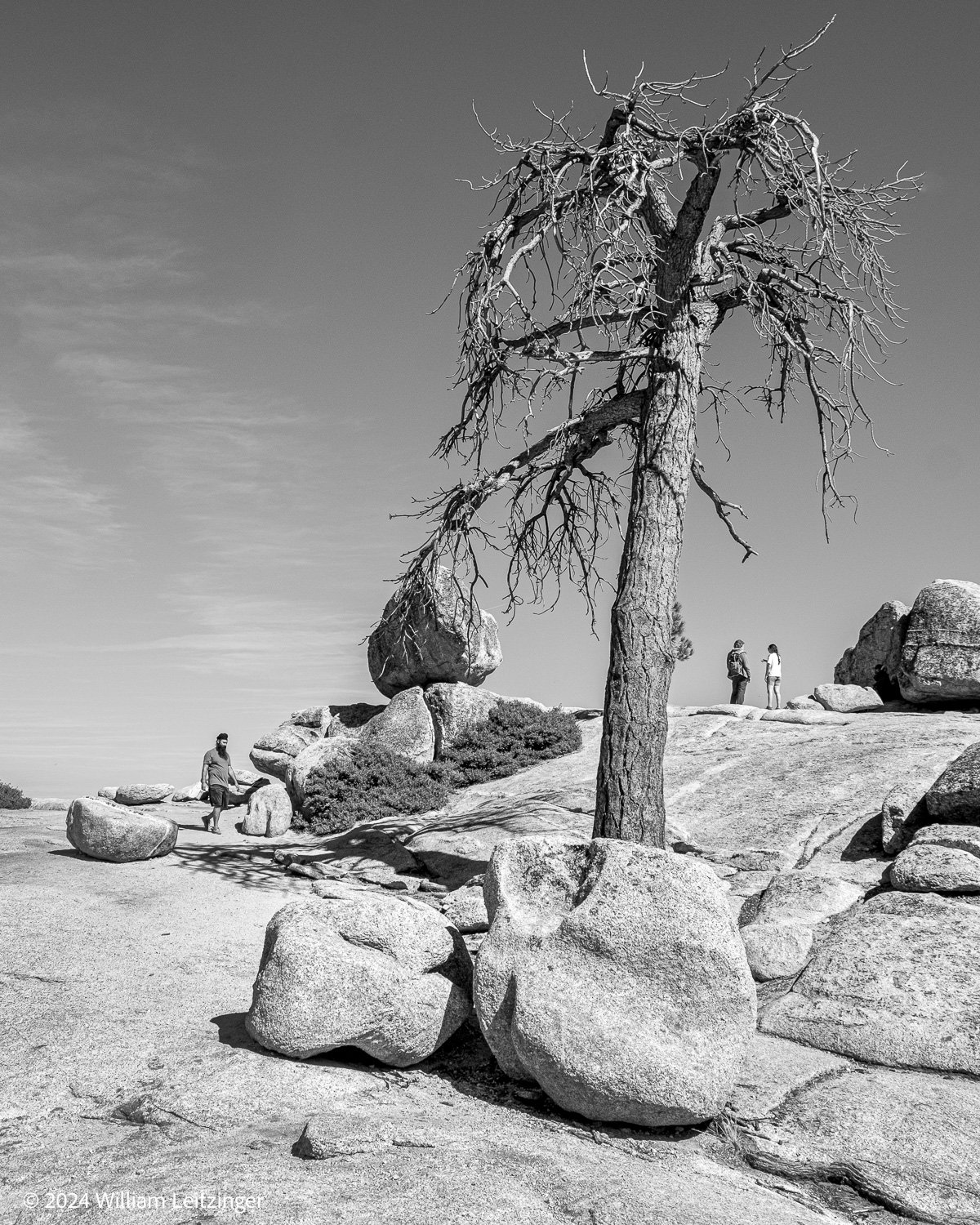 20241009-Landscape-CA-Yosemite_National_Park-Taft_Point-125-B&W-Cropped-02-(Copyright).jpg