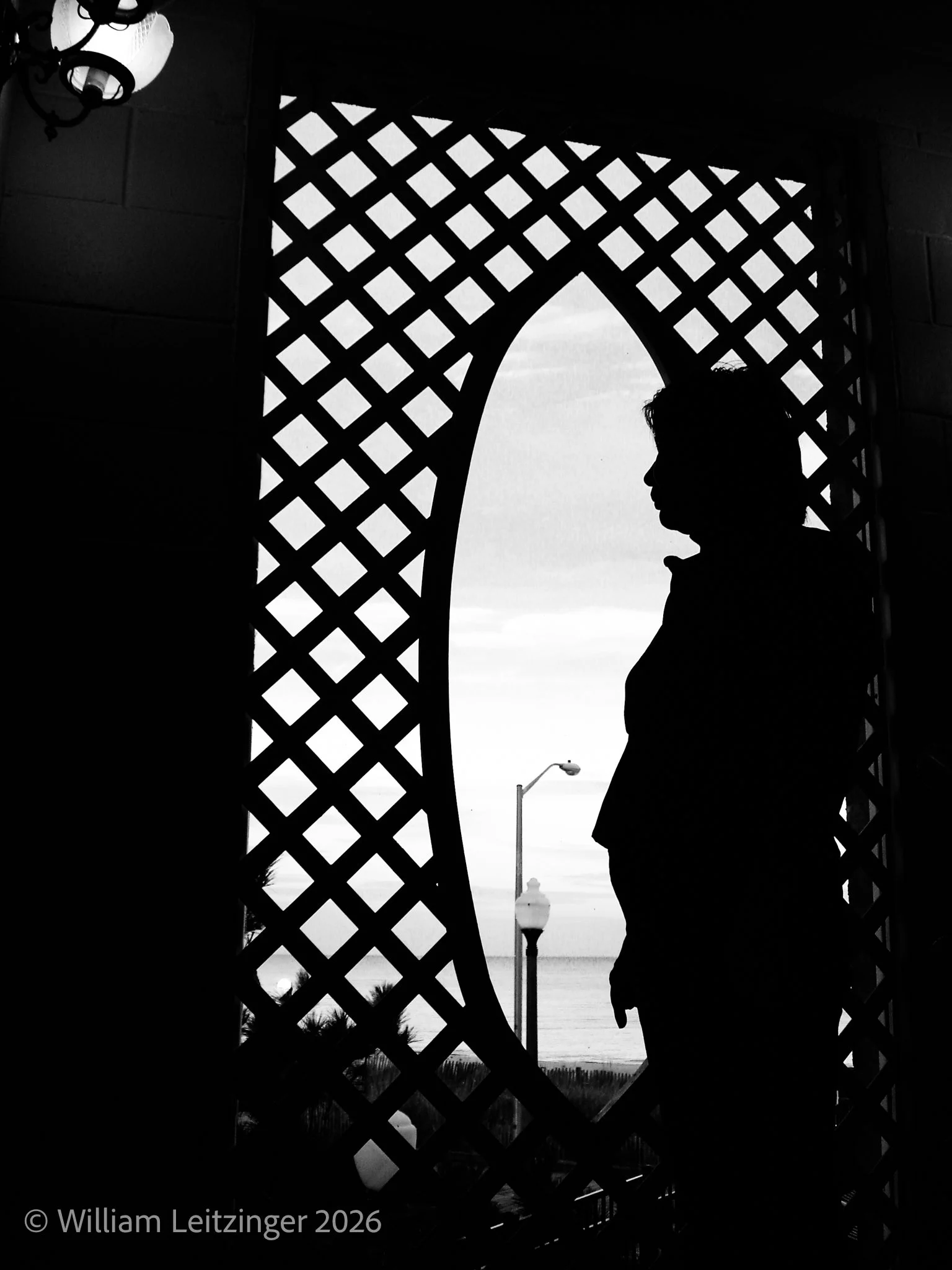 20091007-Family-Abstract-VA-Shenandoah_National_Park-Toshiko_Leitzinger_Silouhette_Looking_Out_Window-01-B&W(Copyright).jpg