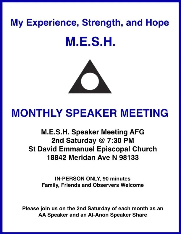 MESH Speaker Meeting AFG