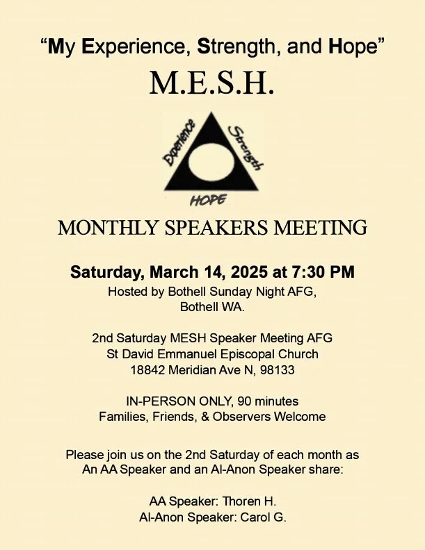 MESH Speaker Meeting AFG
