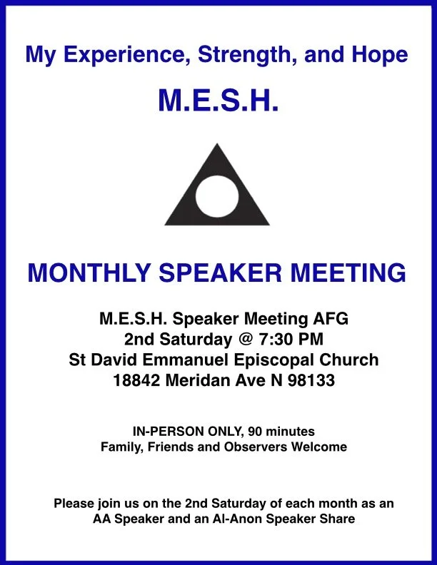 MESH Speaker Meeting AFG