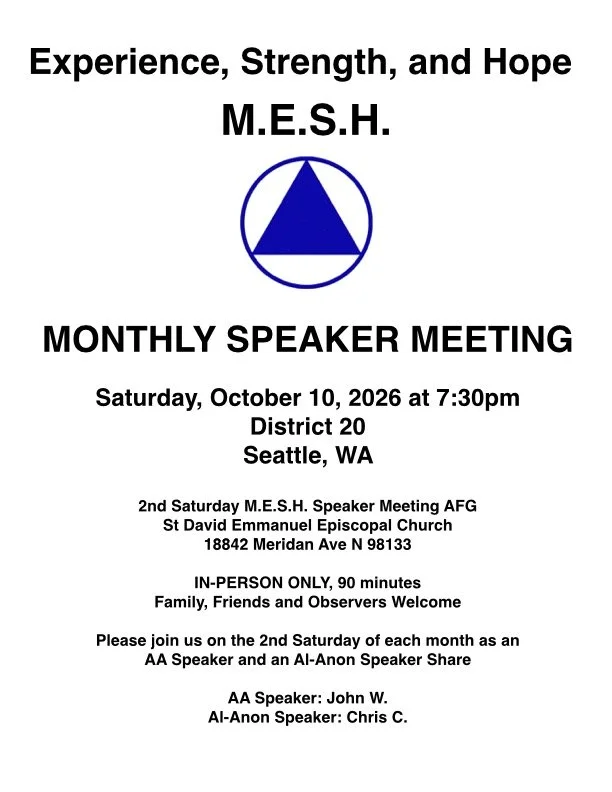 MESH Speaker Meeting AFG