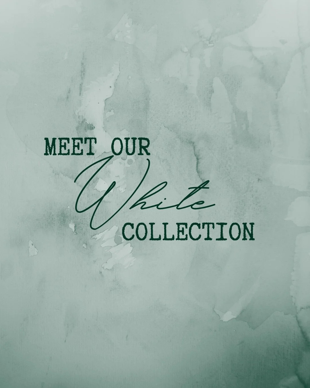 Introducing our newest collection of vintage-inspired white dishware 🤍🍽️

Betty, Eloise, Vera, Poppy, and Florence&mdash;five timeless personalities, each with her own story to tell. From delicate elegance to bold florals and softly scalloped edges