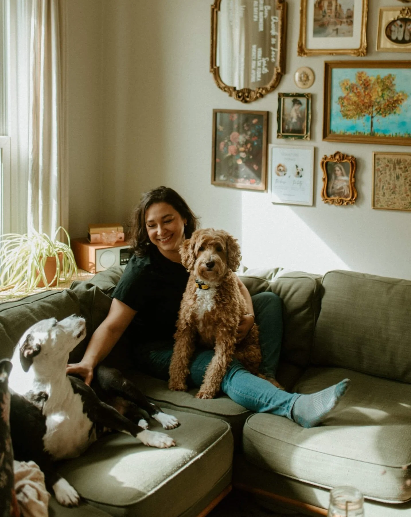 Pet owner relaxing at home on a sofa with two dogs