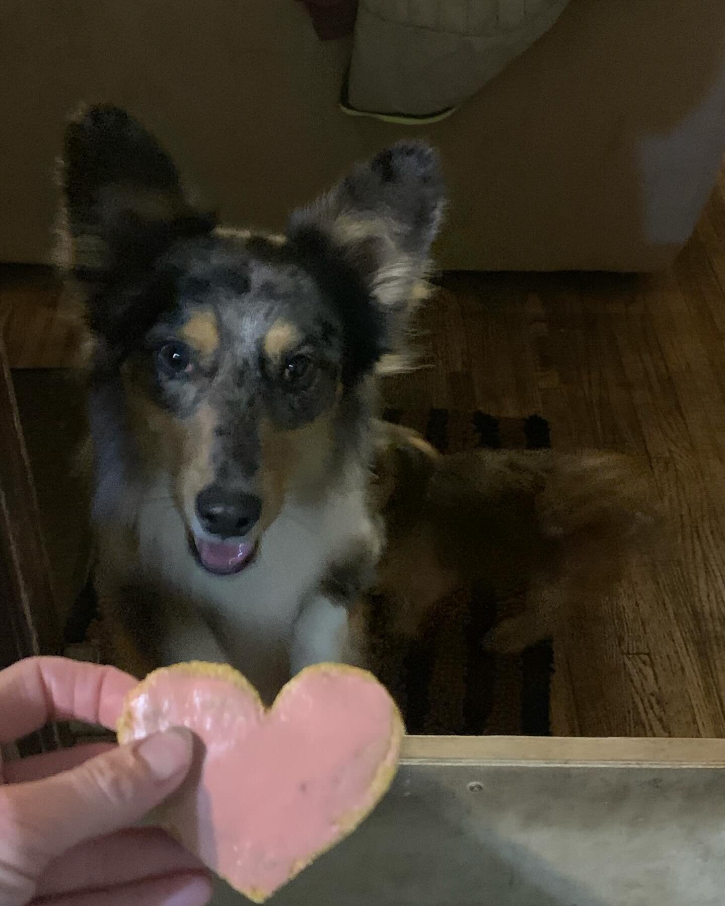 A heart for my heart