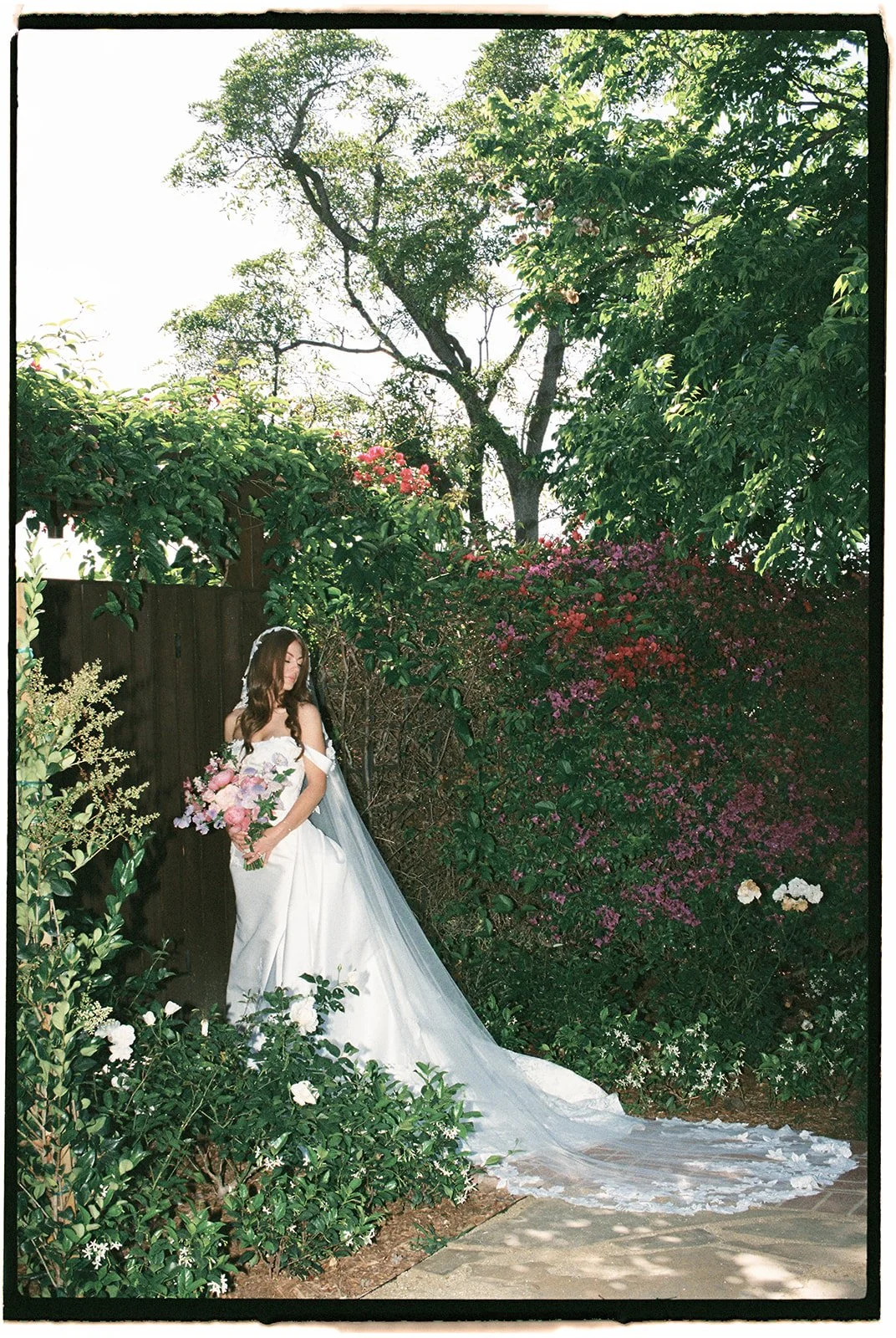  Surrounded by climbing vines, garden roses, and star jasmine, the bride poses softly for a portrait. 35 mm film. 