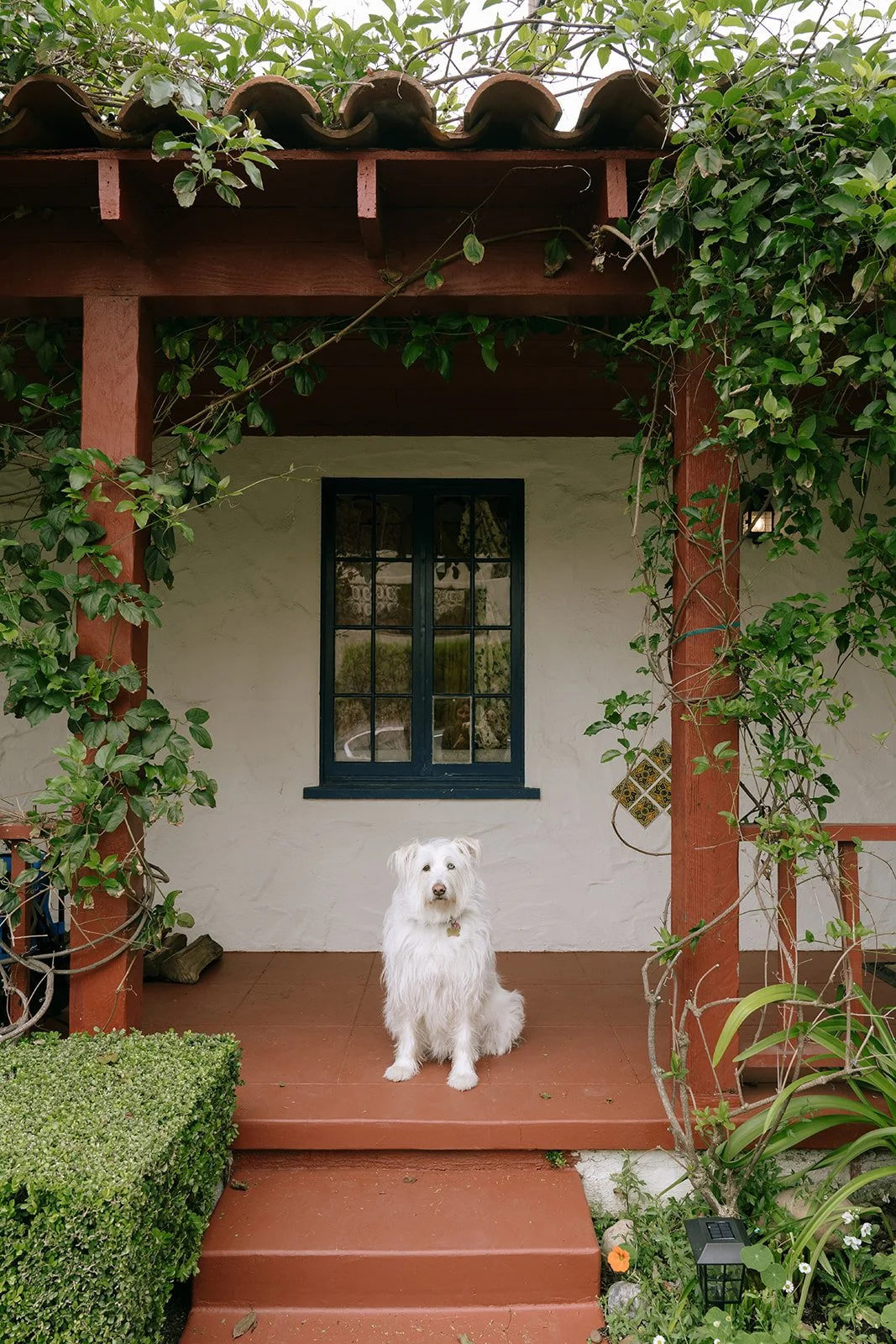 Childhood pet in front of the  childhood home.