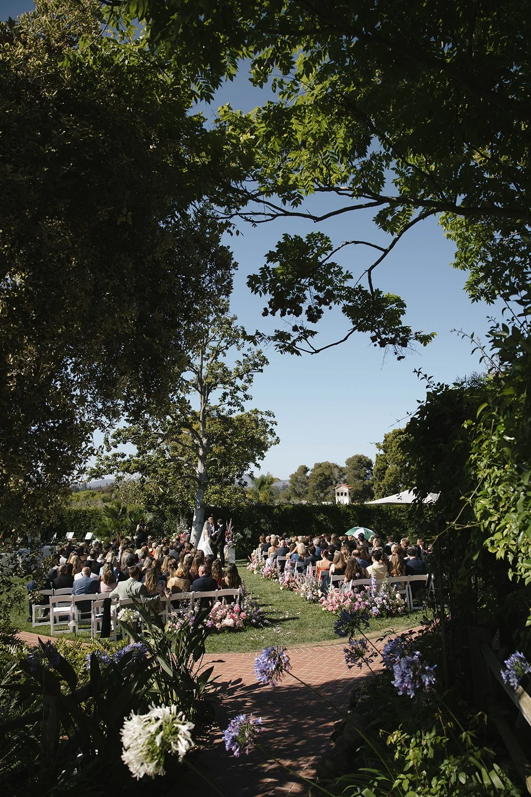  The wedding ceremony surrounded by grand mature trees and lily of the nile.  