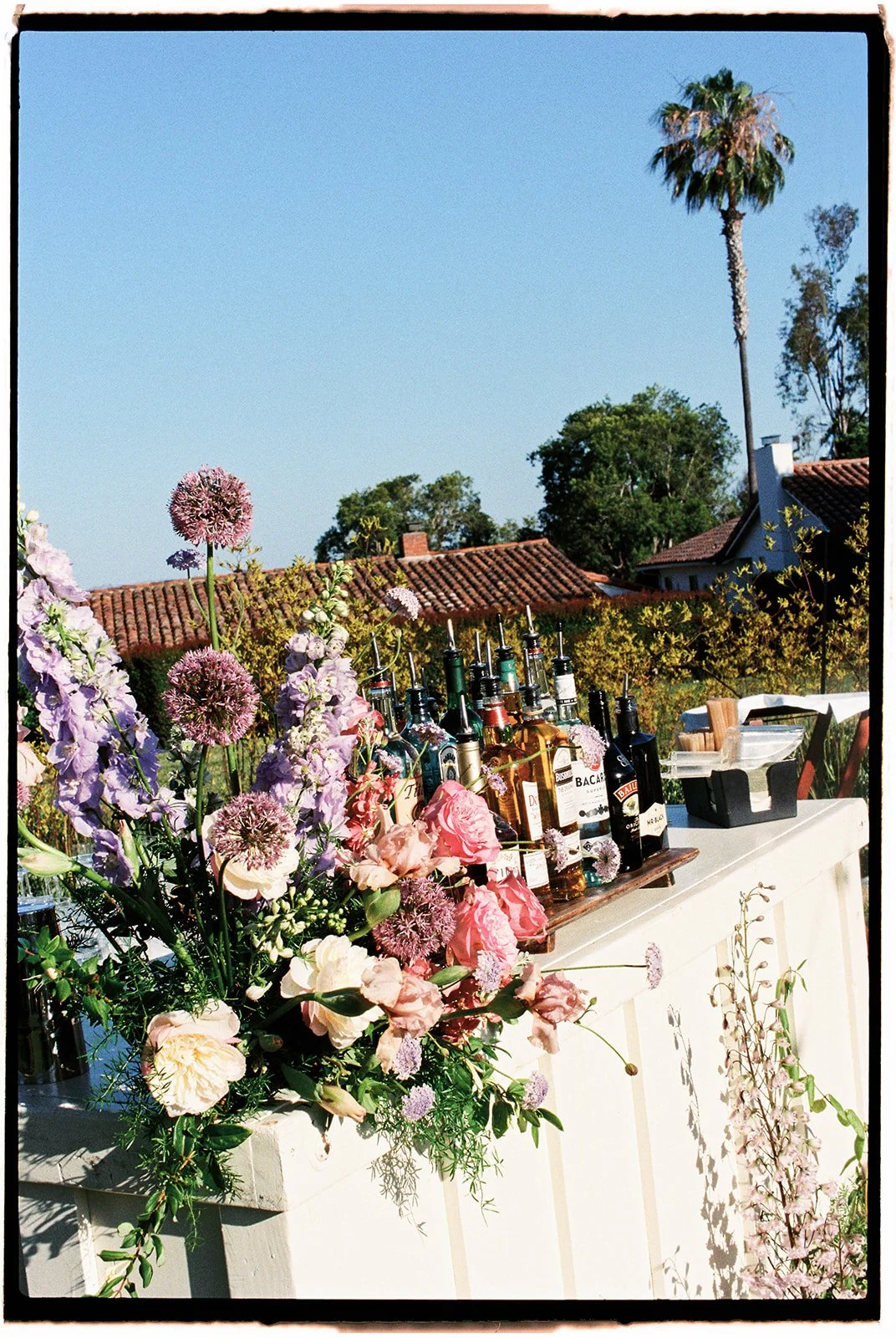  Delphiniums, alliums, carnations, roses, and peonies in the bar arrangement. 35 mm film. 