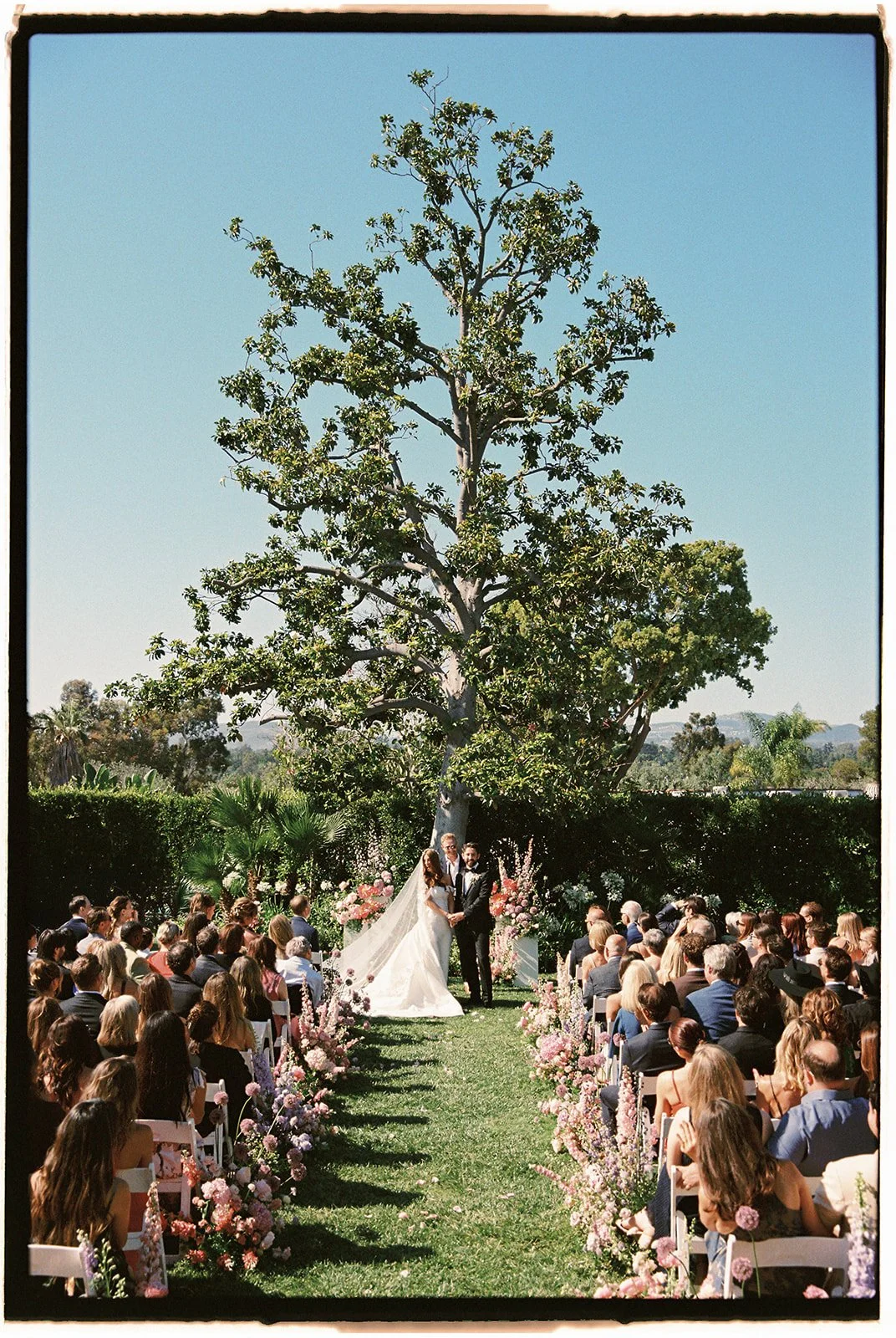  Views of the valley, surrounded by flowers, under the lush tree in the Rose Garden, bride and groom take in the moment. 35 mm film. 