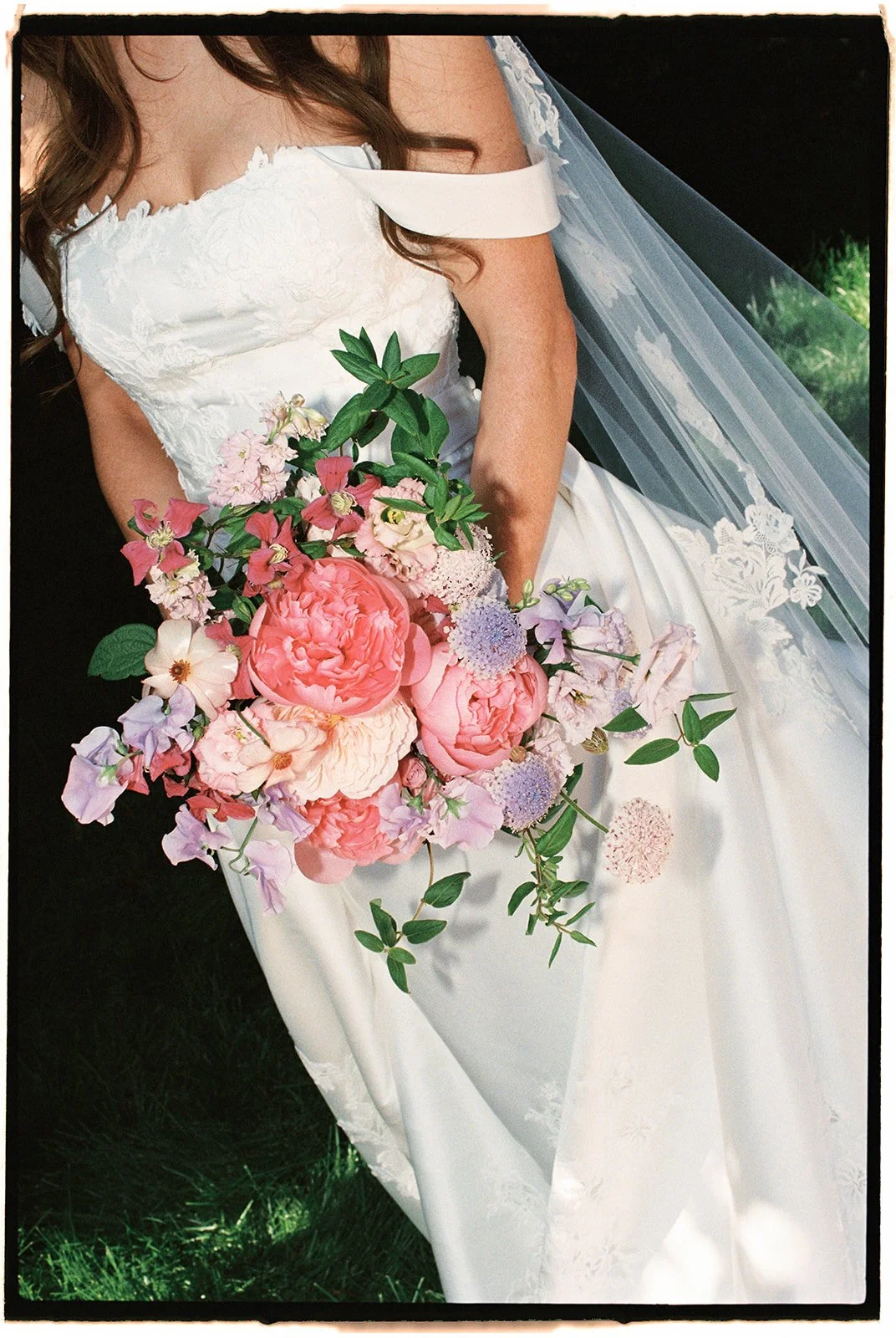  Bridal bouquet: Peonies, sweet peas, garden roses, and pincushion flowers, accented with a silk mauve ribbon. 35 mm film. 