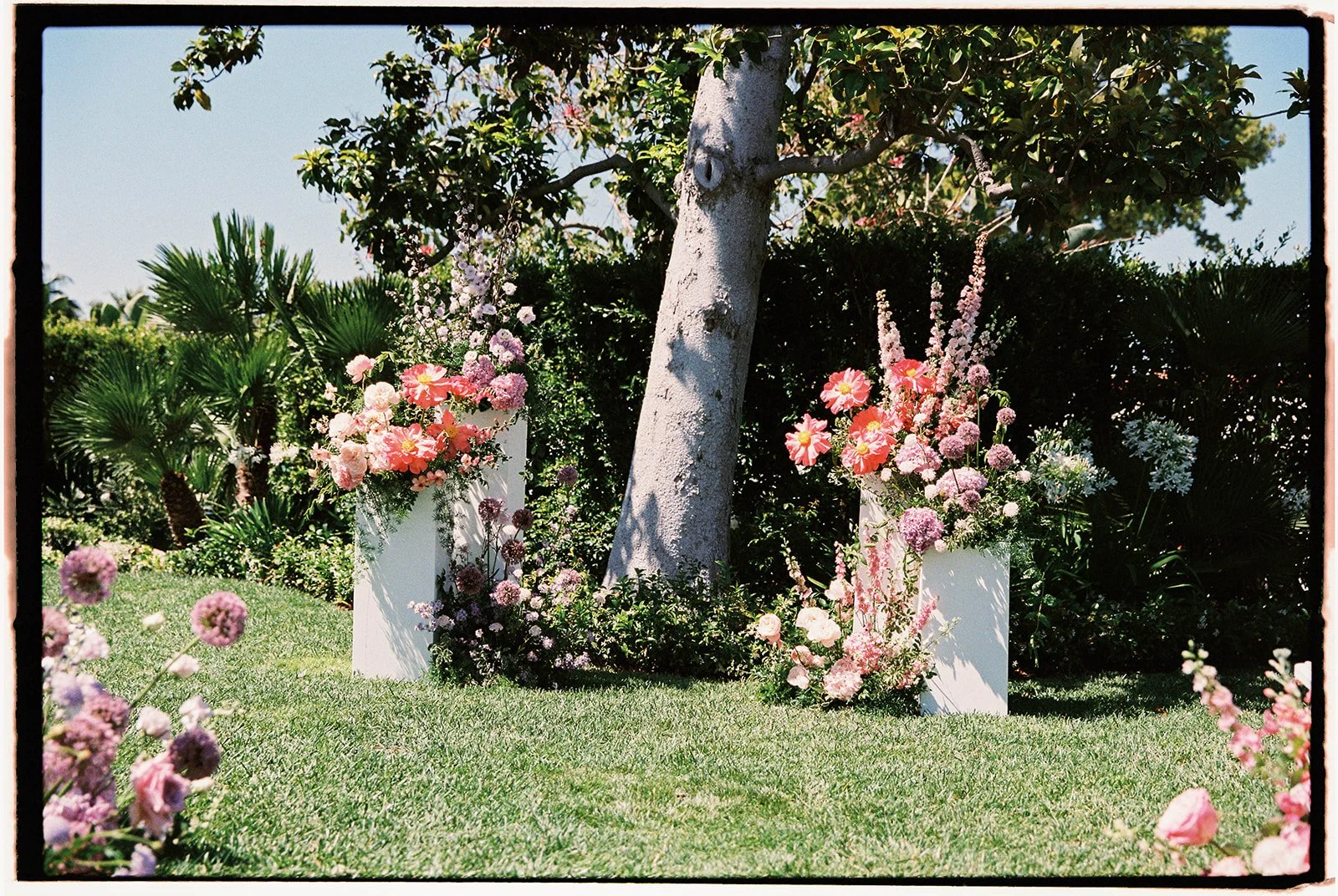  Opulent floral installations arranged on sleek white columns. 35 mm film. 