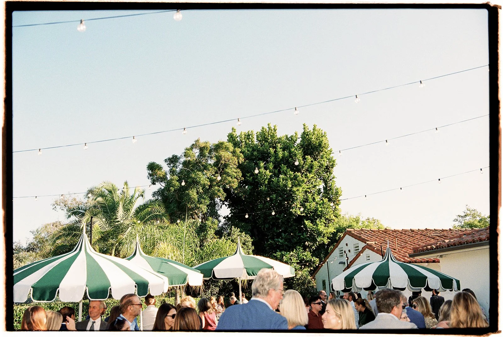 Vintage-inspired, striped and scalloped green umbrellas are the main fixture for cocktail hour. 35 mm film. 