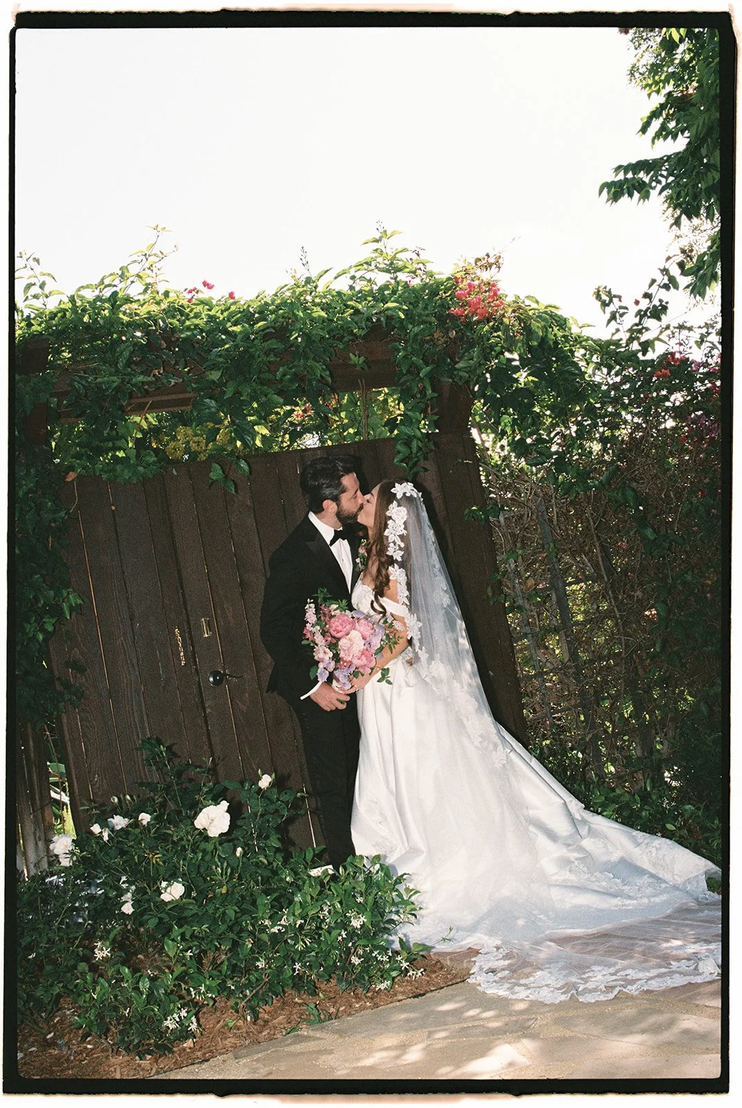  The newlyweds sharing a kiss against a wooden trellis. 35 mm film. 