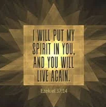 Life Through The Spirit