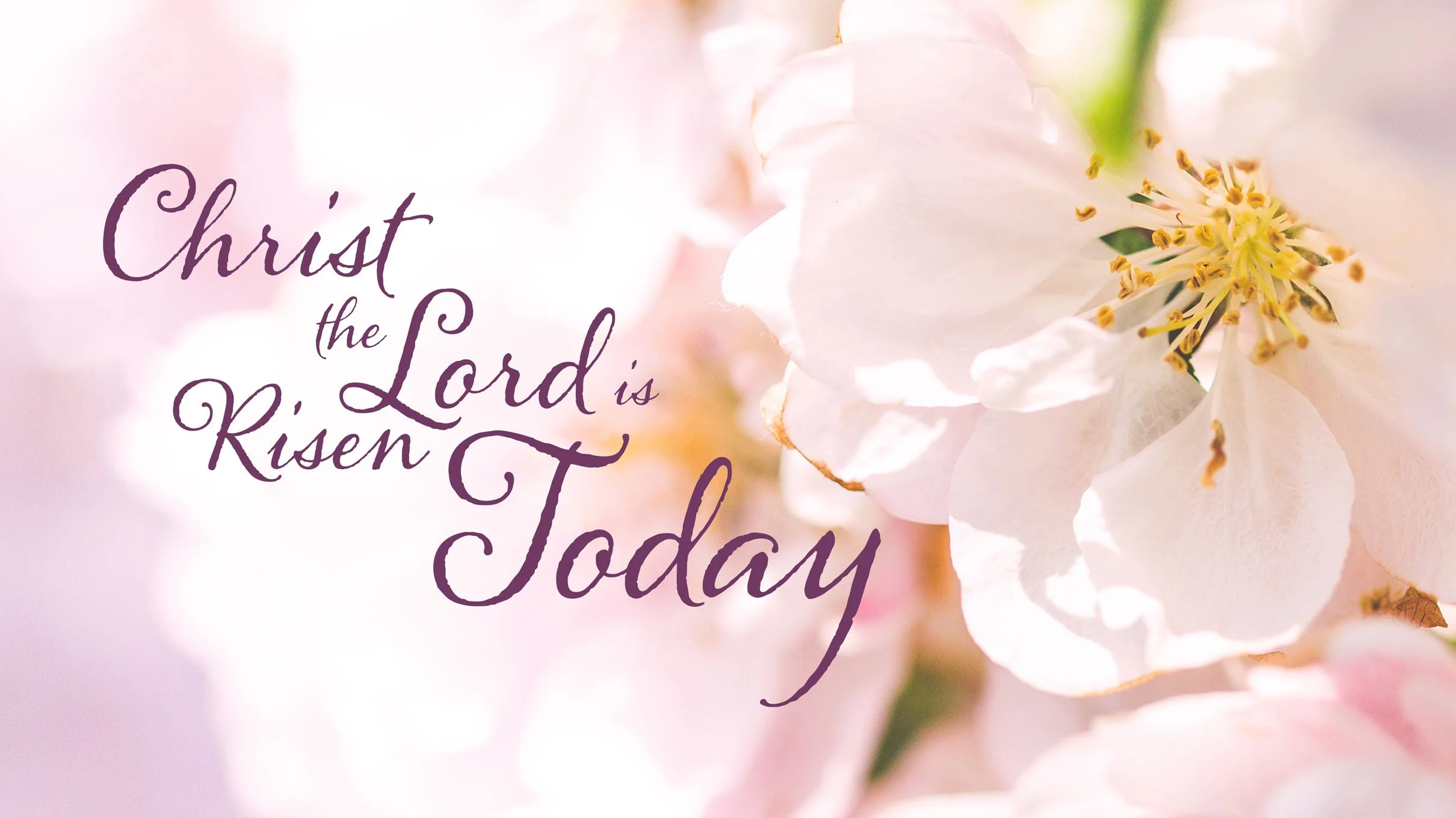 Christ is Risen, Hallelujah!