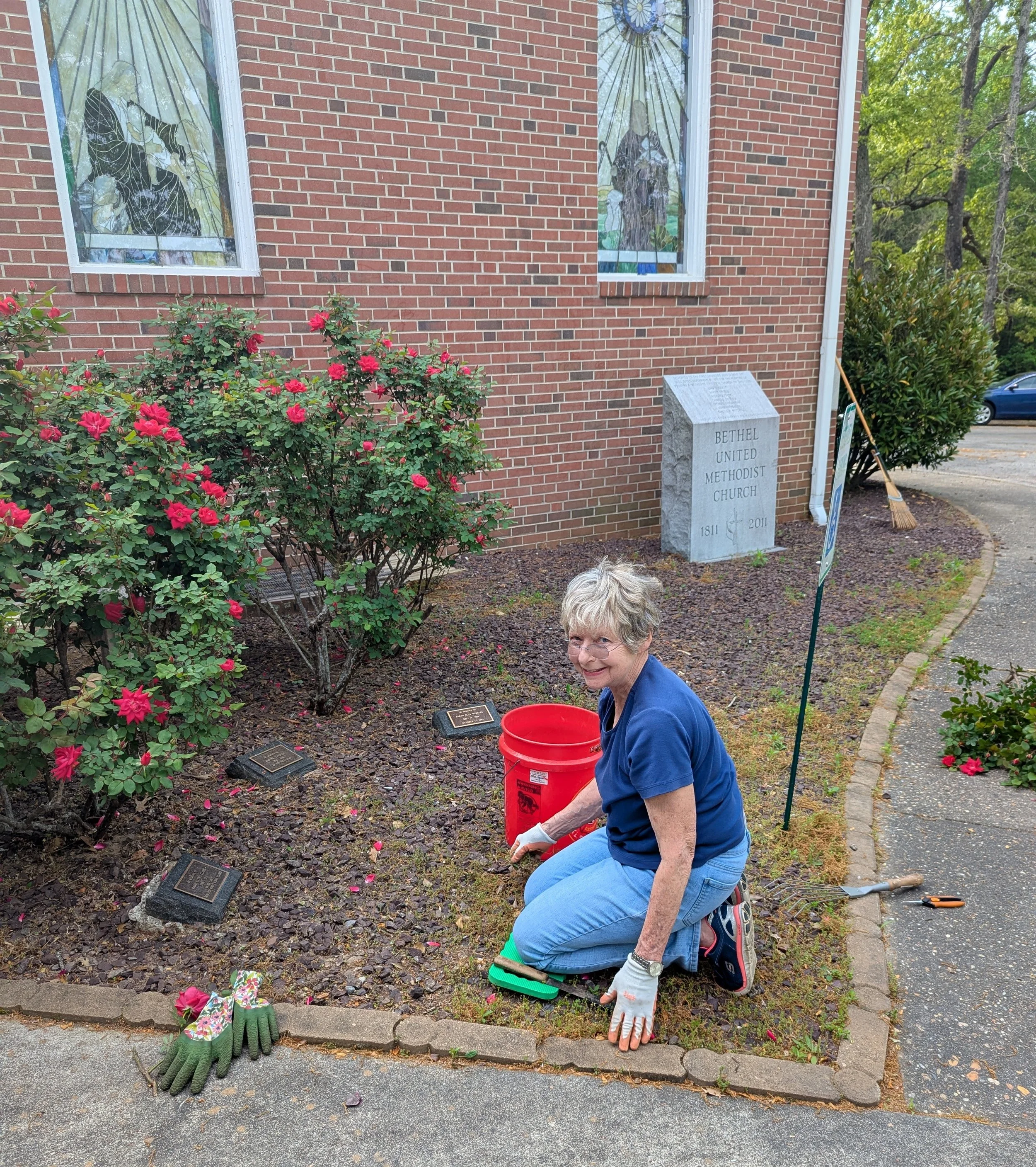 trustee clean up lore.jpg