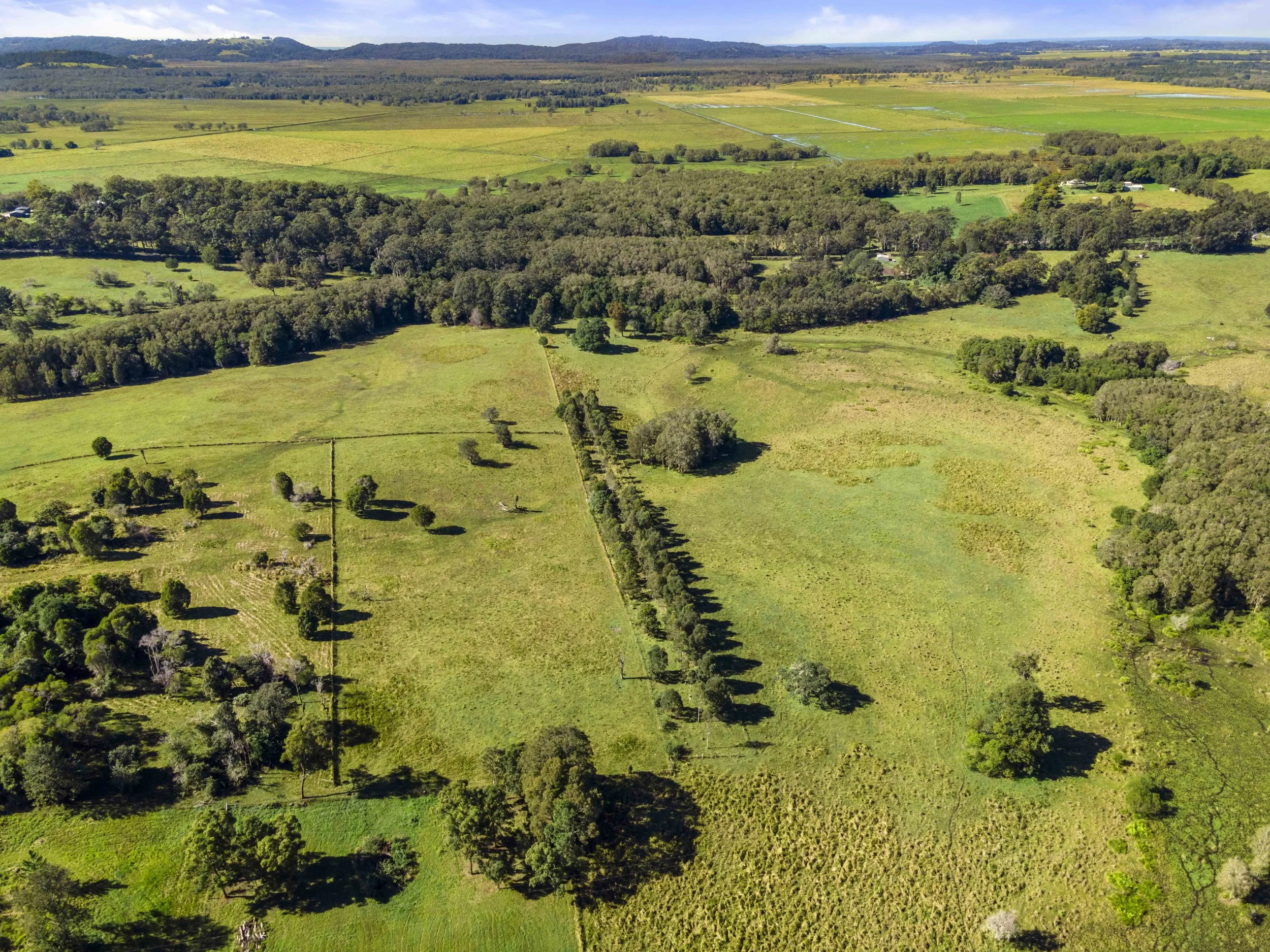 DJI_0591.jpg