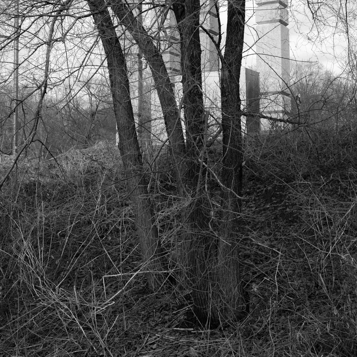 Tour de l'isle - 03.2024