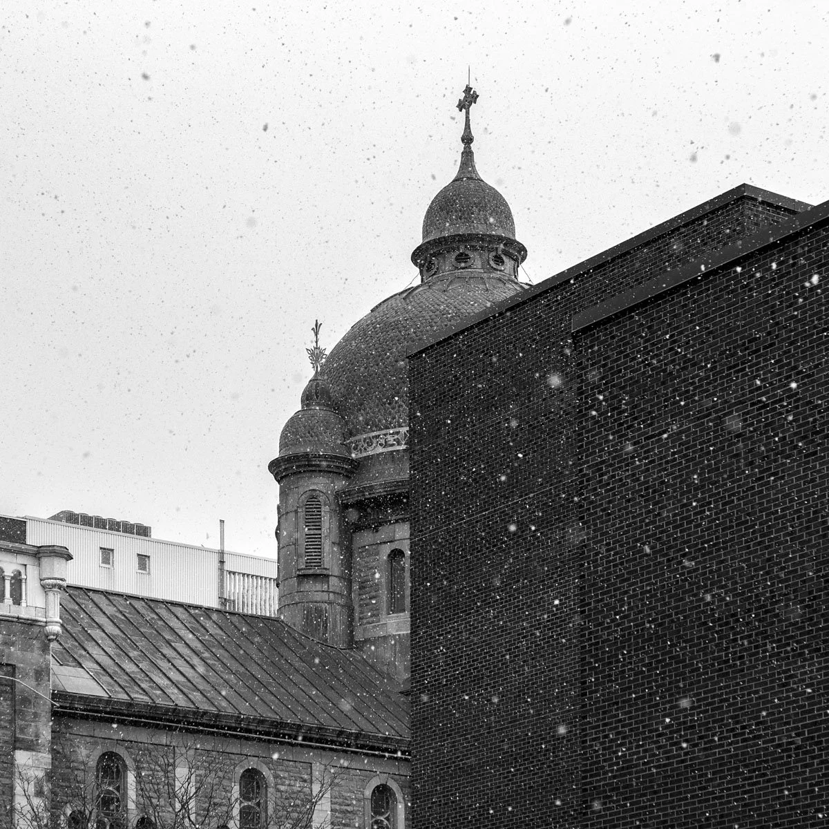 Sainte-Catherine  - 02.2024