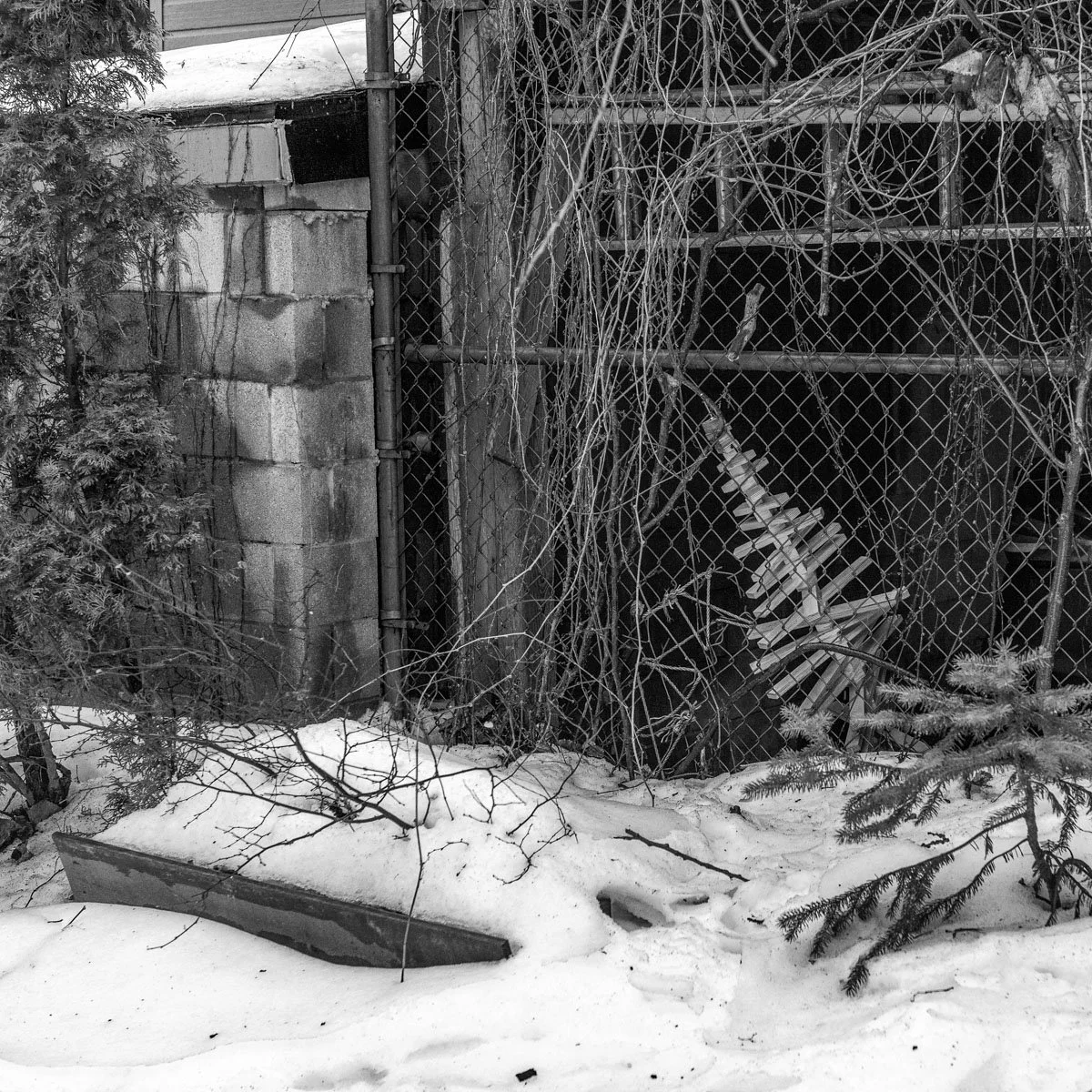 Saint-Timothée - 02.2024