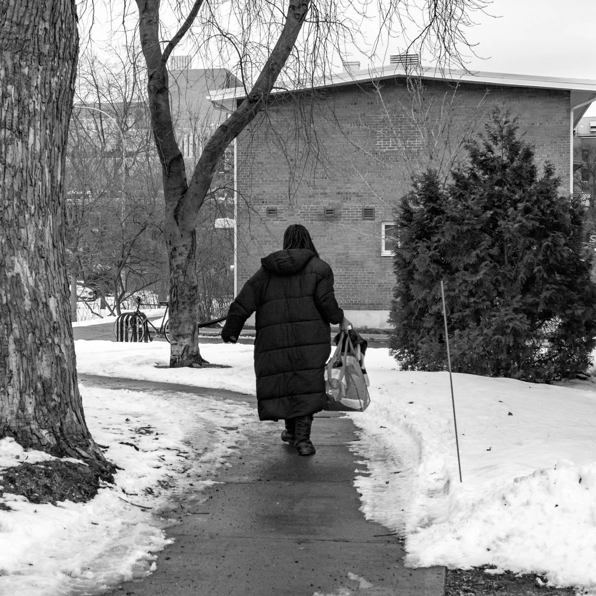 Habitations Jeanne-Mance  - 02.2024