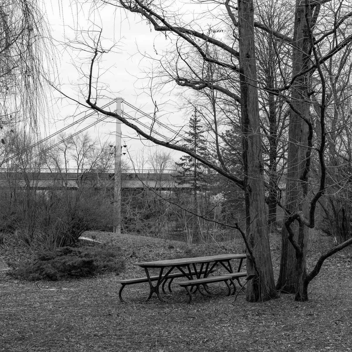 des Floralies - 03.2024