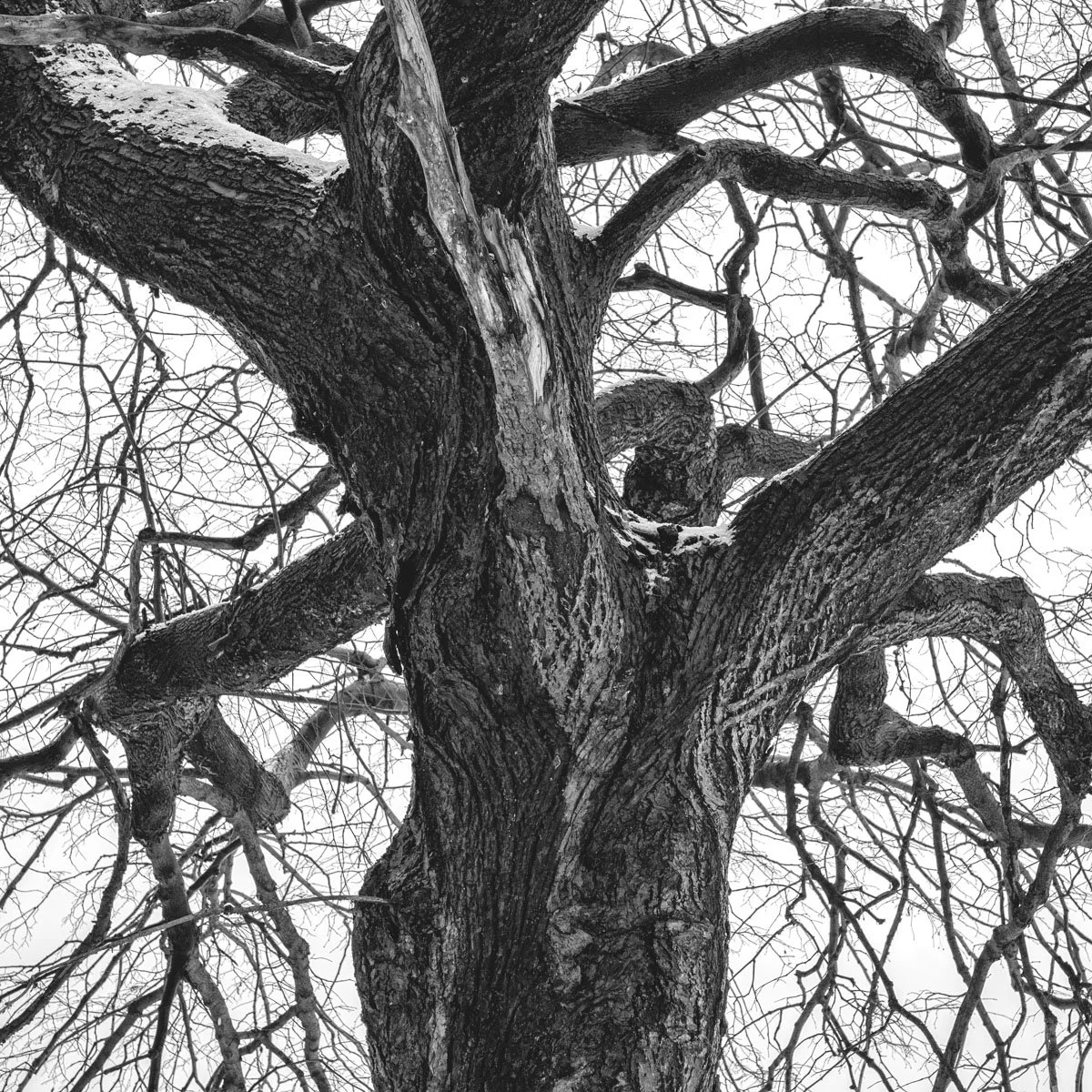 Pierre-Dupuy - 01.2024