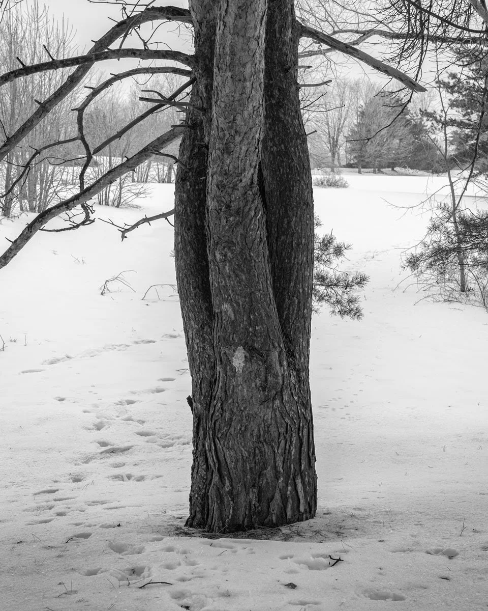 Pierre-Dupuy - 01.2024