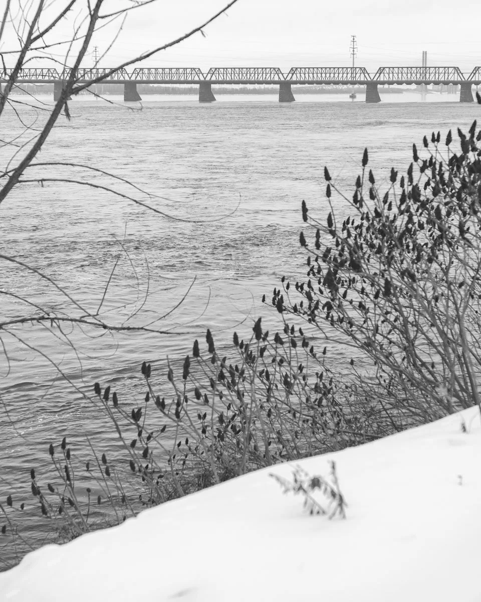 Pierre-Dupuy - 01.2024