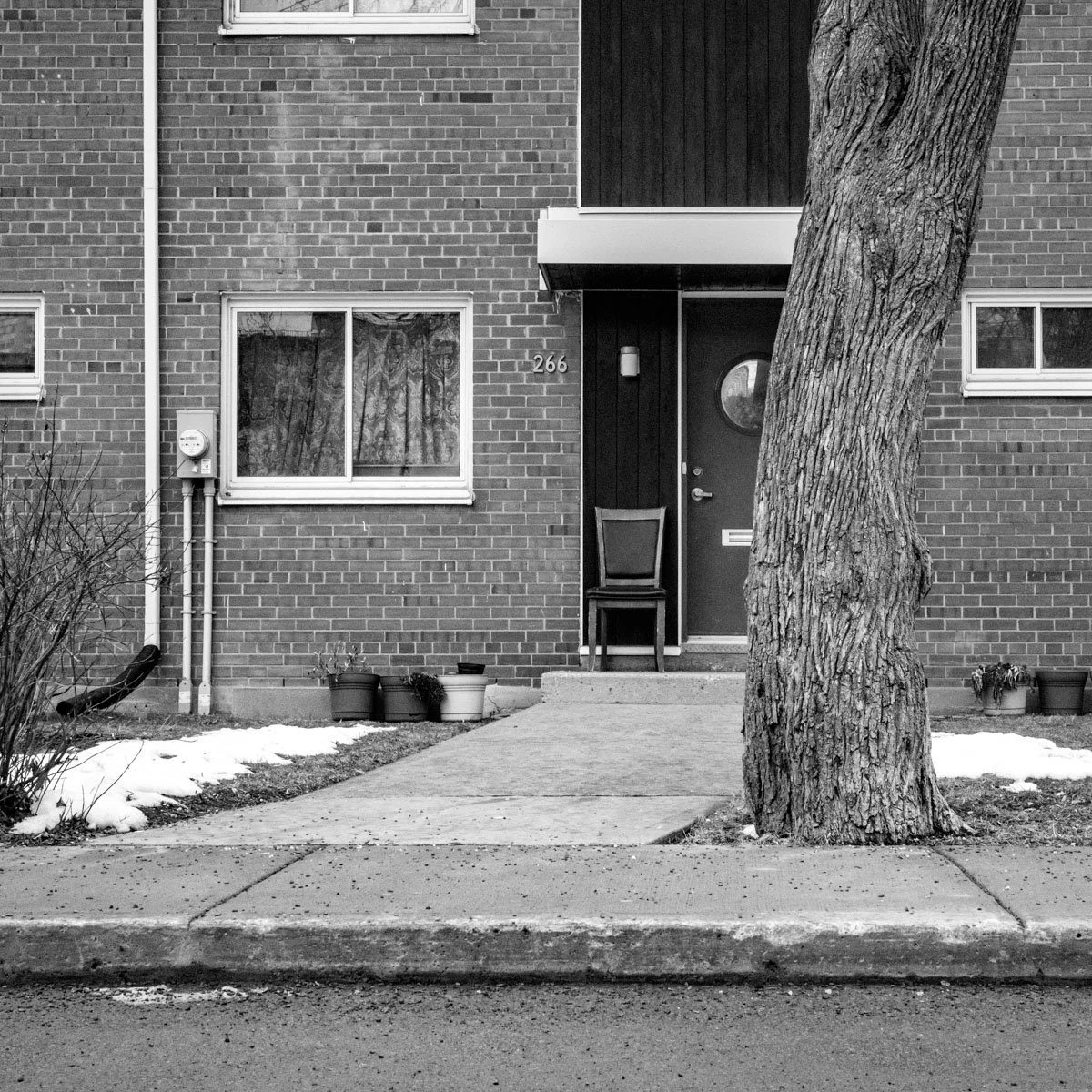 Habitations Jeanne-Mance  - 02.2024