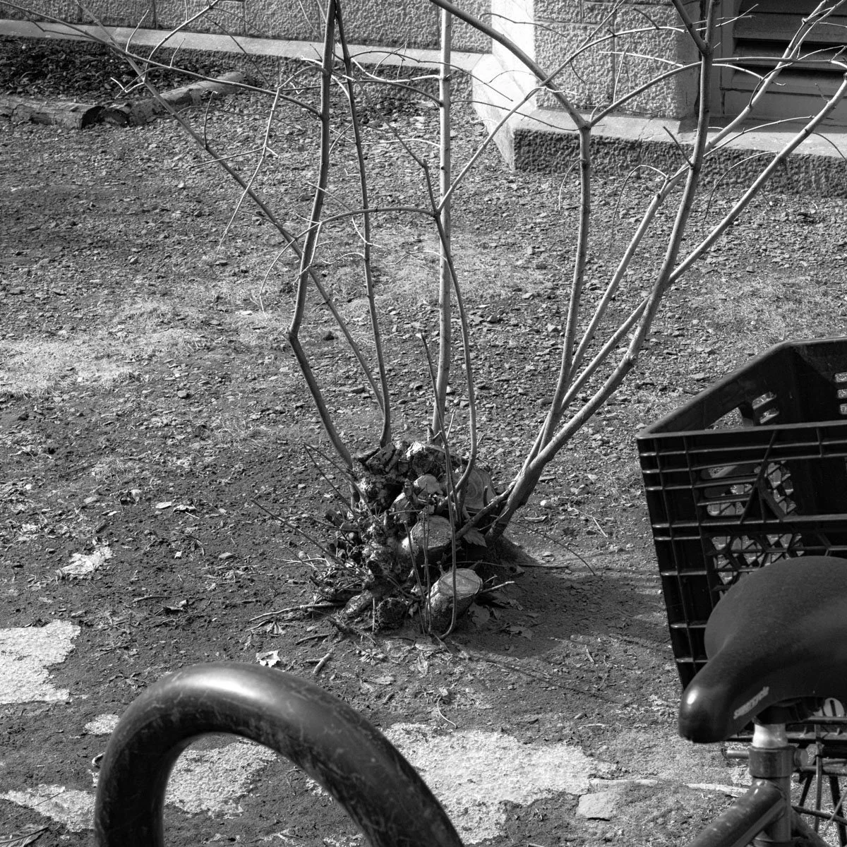 Sherbrooke - 02.2024