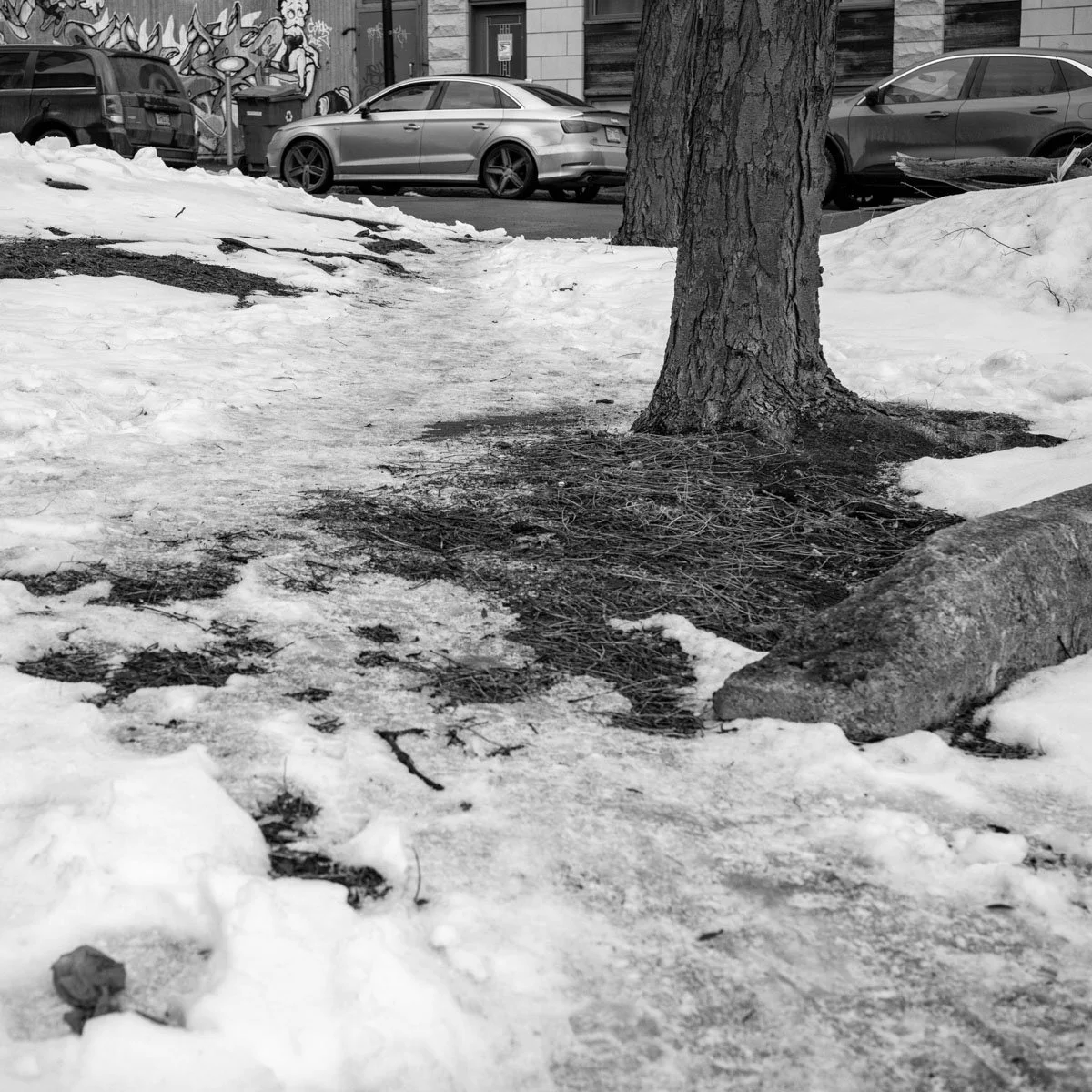 Saint-Christophe  - 02.2024