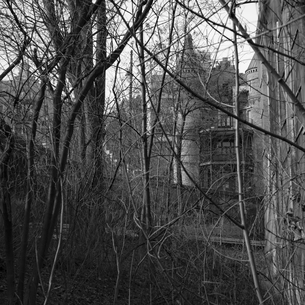 Docteur-Penfield - 02.2024