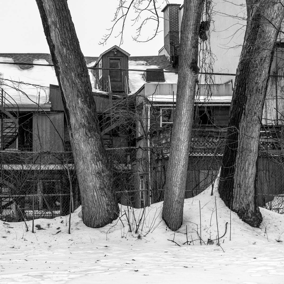 Saint-Timothée - 02.2024