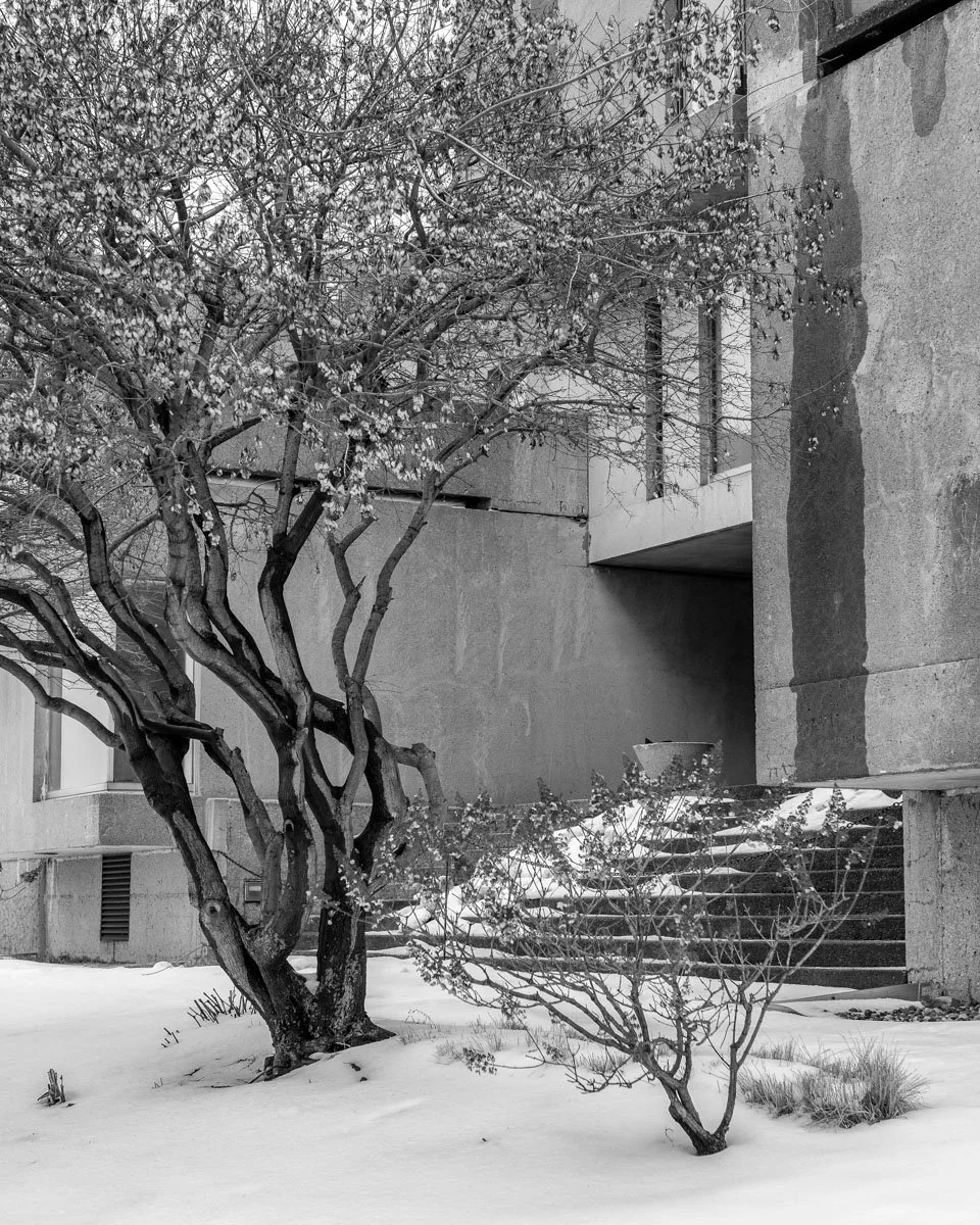 Pierre-Dupuy - 01.2024