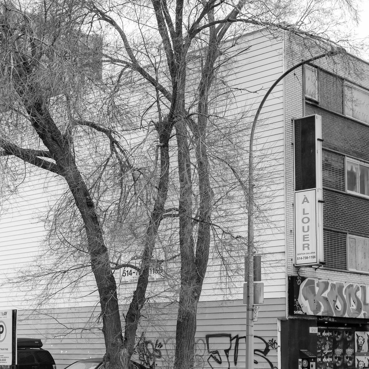 Saint-Hubert - 02.2024