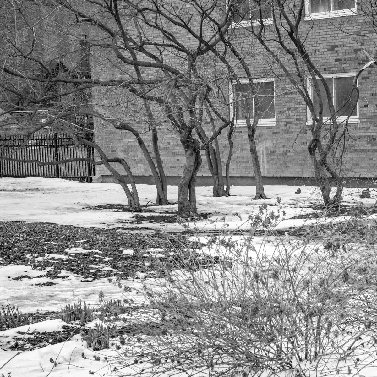 Habitations Jeanne-Mance  - 02.2024