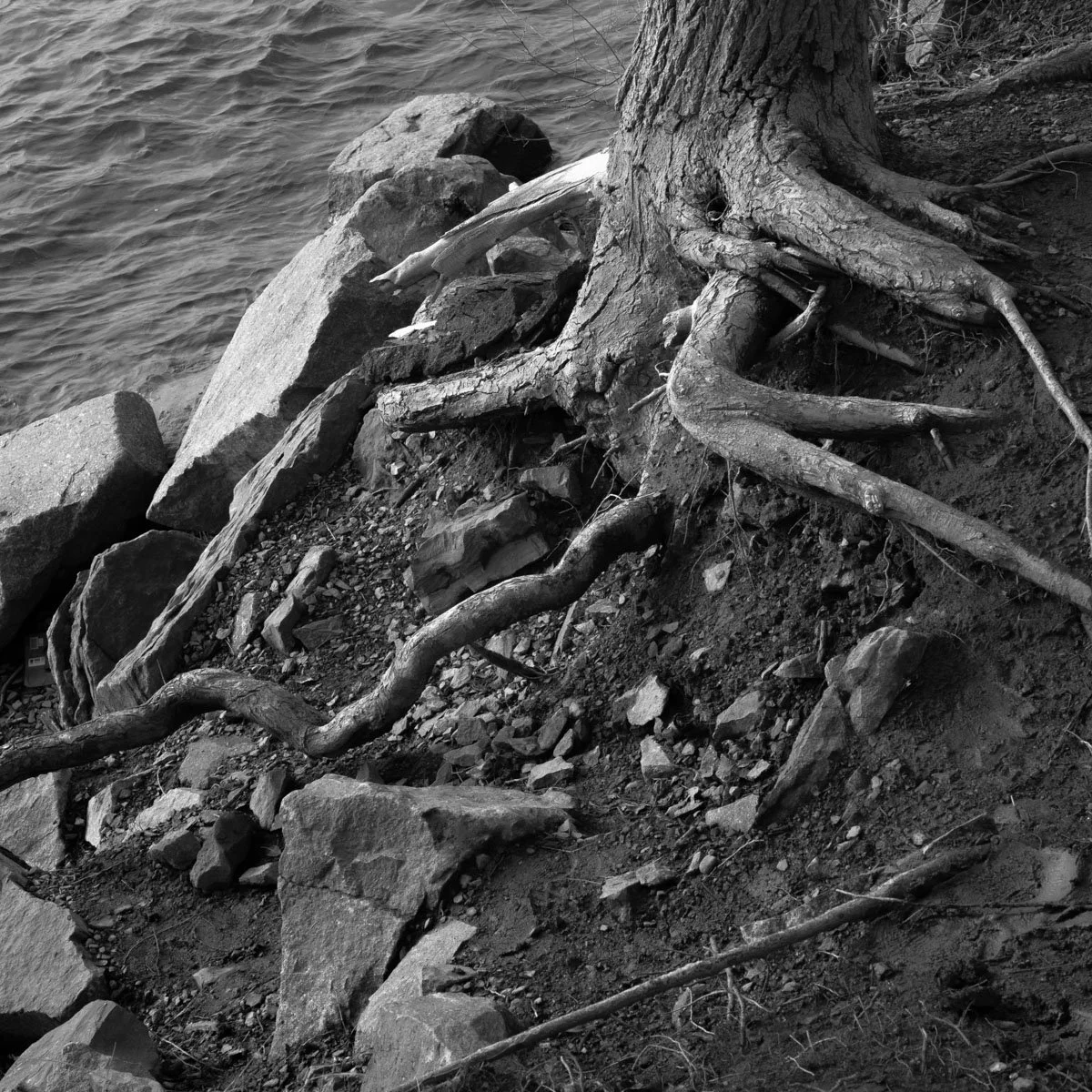 Tour de l'isle - 03.2024