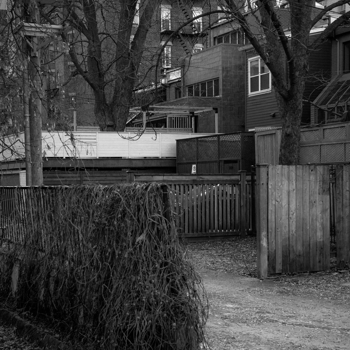 Saint-Mathieu - 03.2024