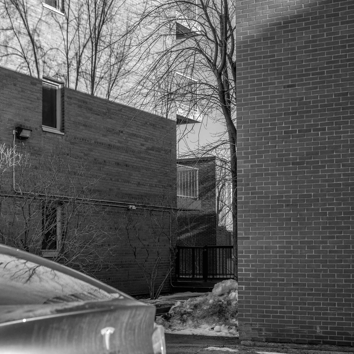 Docteur-Penfield - 01.2024