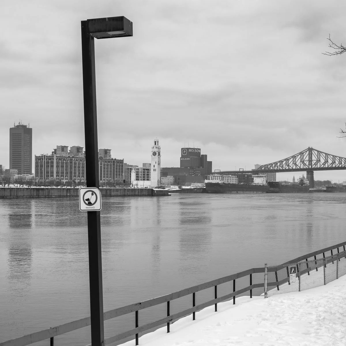 Parc de Dieppe - 01.2024