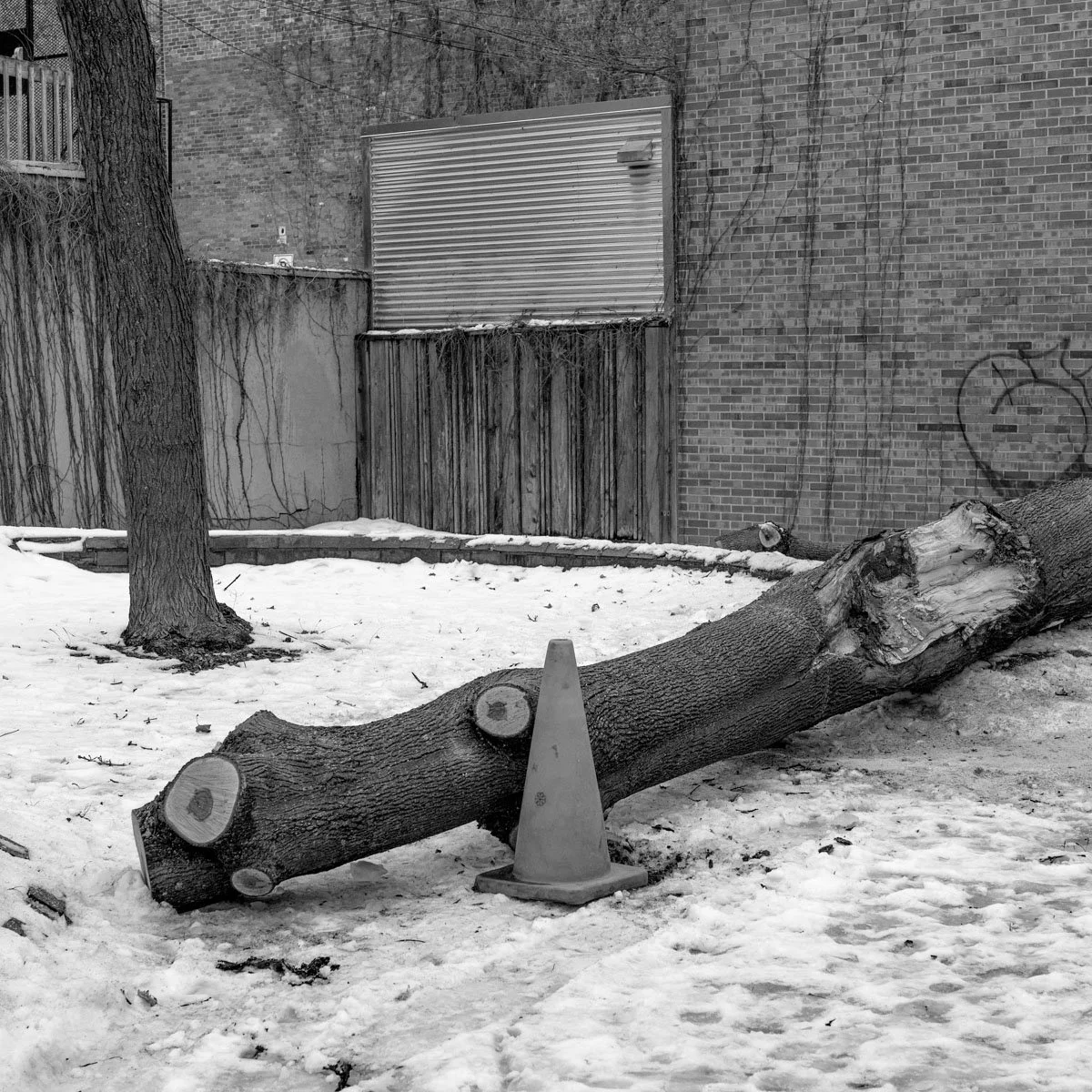 Parc Charles-Mayer  - 02.2024