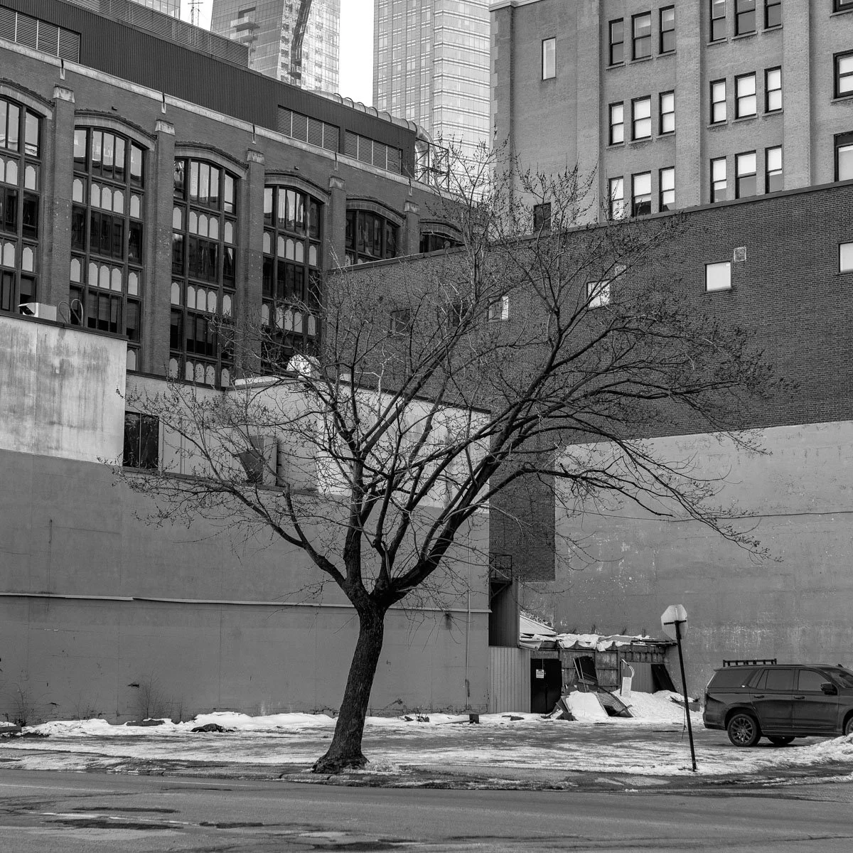 Saint-Jacques - 01.2024