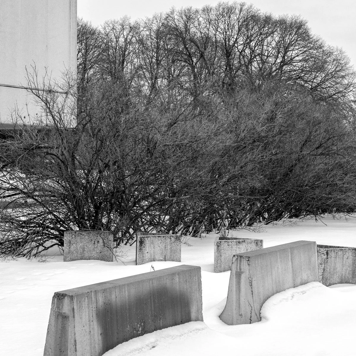 Pierre-Dupuy - 01.2024