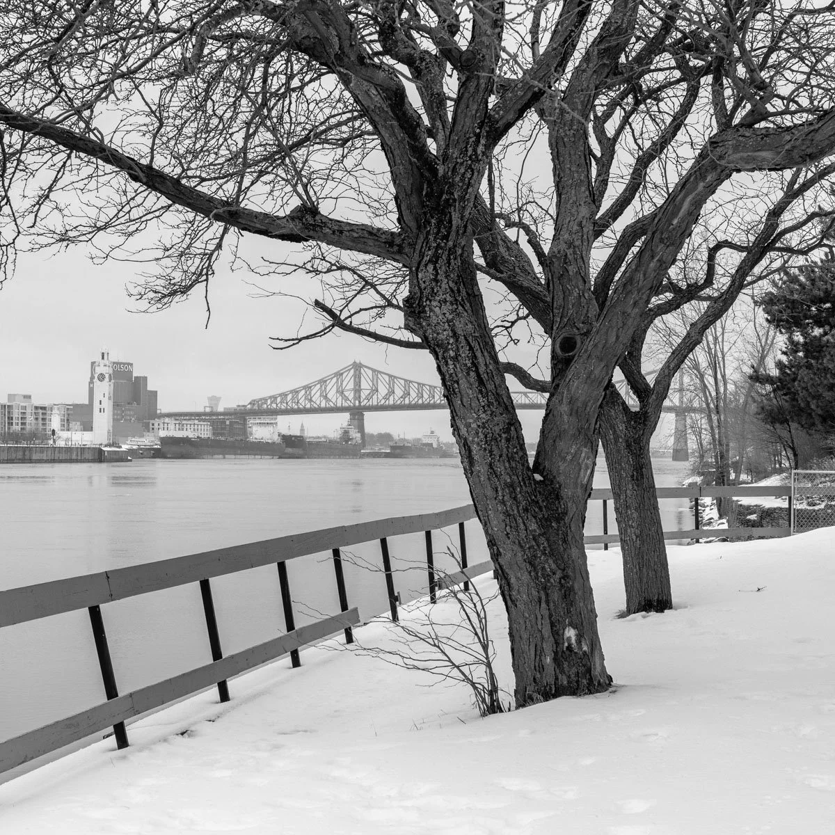 Parc de Dieppe - 01.2024