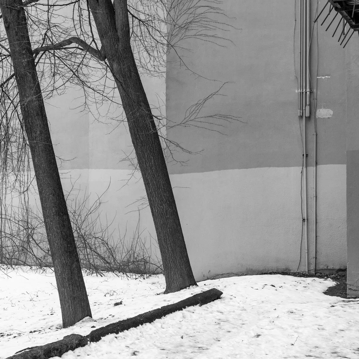 Montcalm  - 02.2024