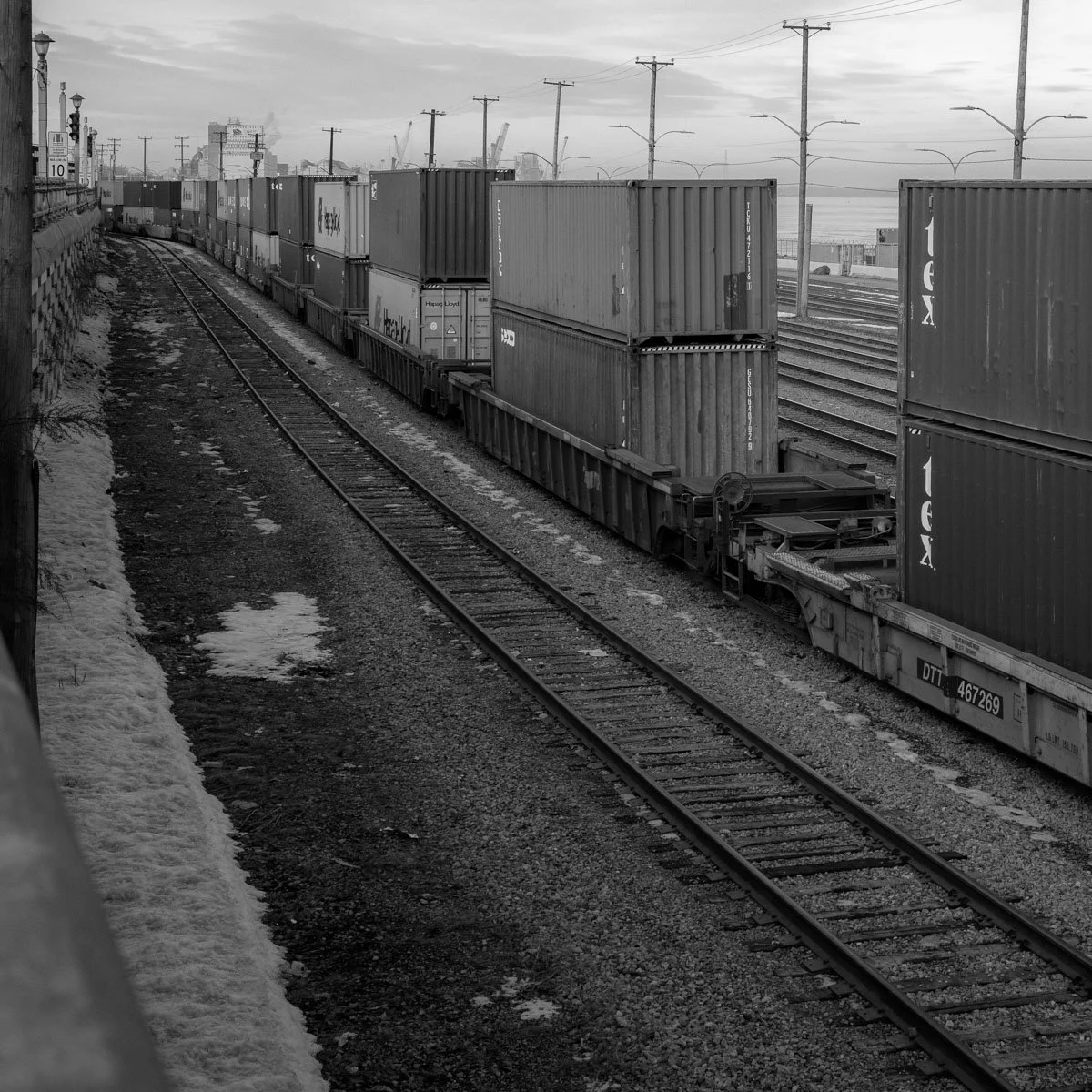 Notre Dame - 02.2024